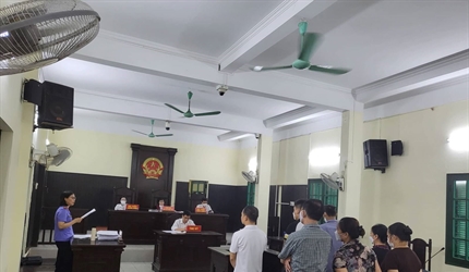 Viện KSND các đơn vị Thanh Xuân, Đan Phượng phối hợp với TAND cùng cấp...